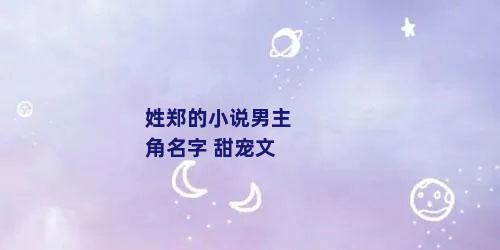 姓郑的小说男主角名字 甜宠文